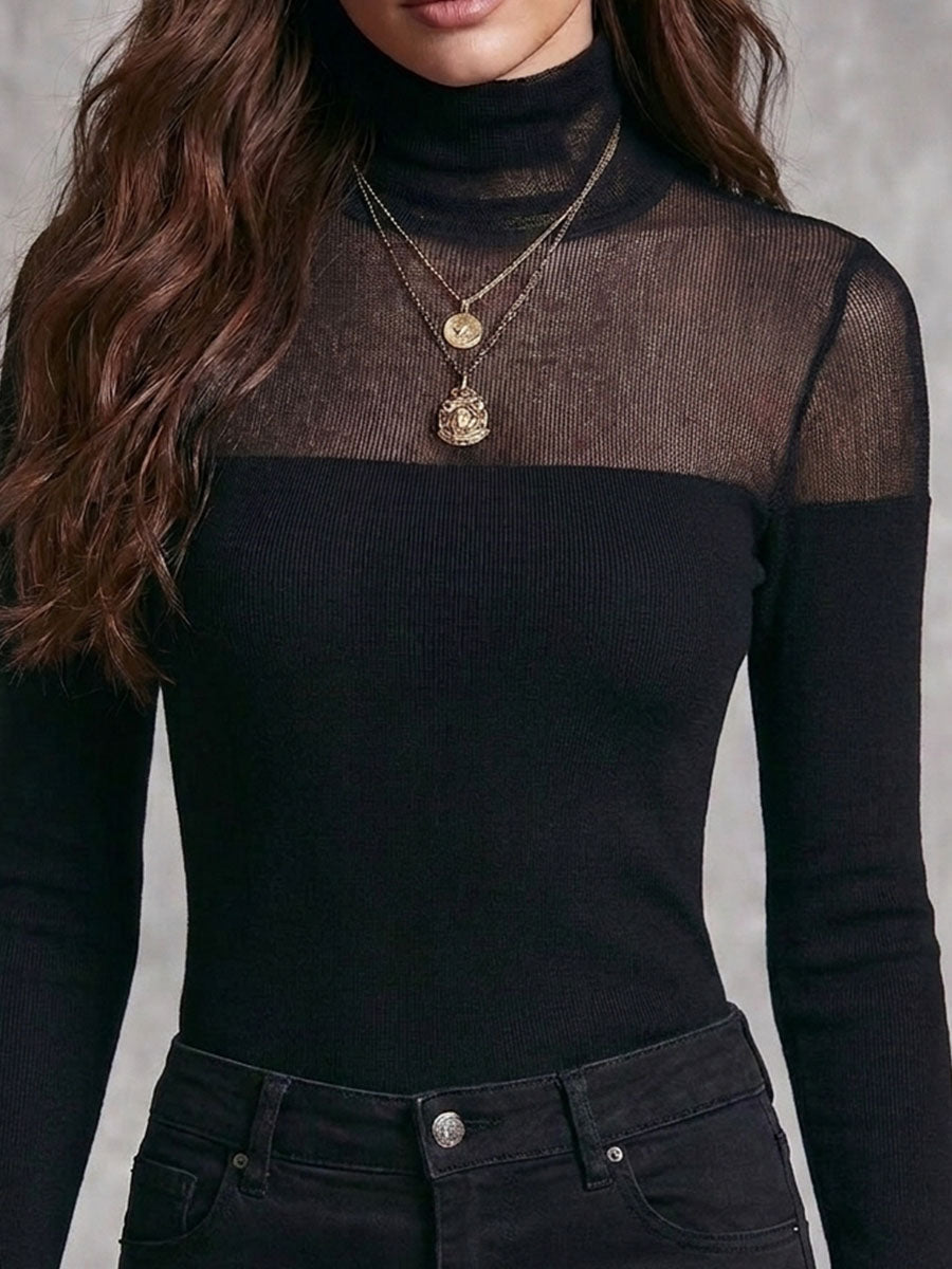 Quiet Luxury Black Sheer Mesh Turtleneck Knit Slim Long Sleeve Top