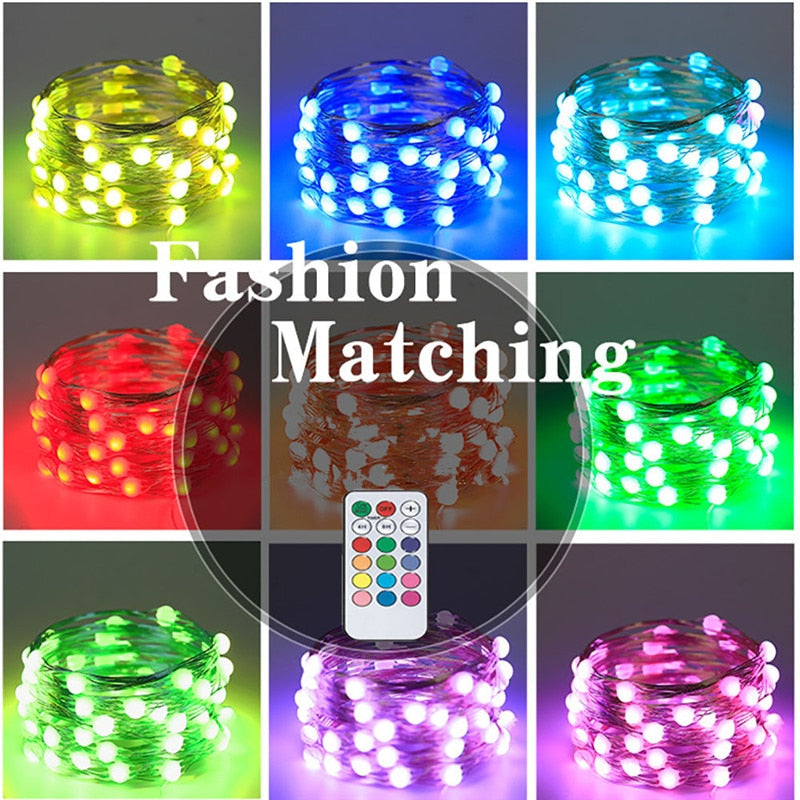 Christmas Wedding Party Decoration Light/10M