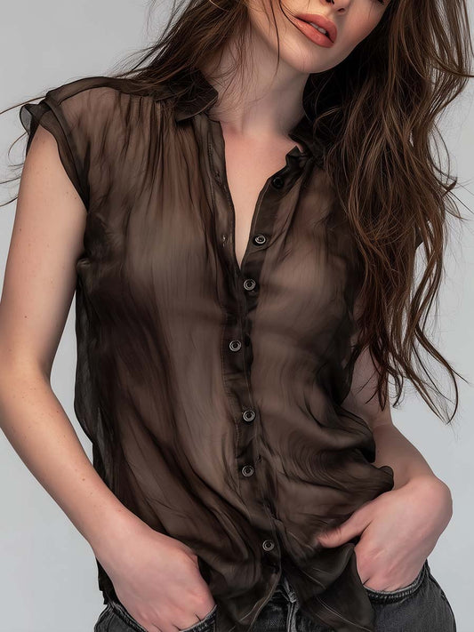 Sheer Vintage Minimalist Sleeveless Organza Shirt Top