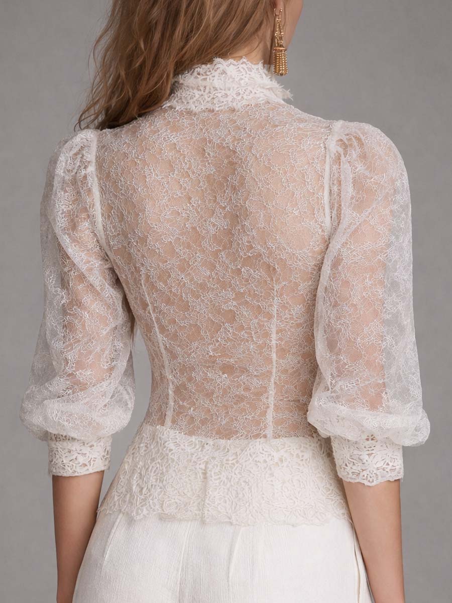 Vintage-Inspired Sheer Lace Puff Sleeve Blouse