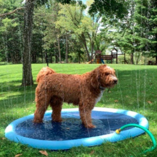 (🎁Fun Memories Gift-49% OFF) 🔥Dog Splash Sprinkler Pad