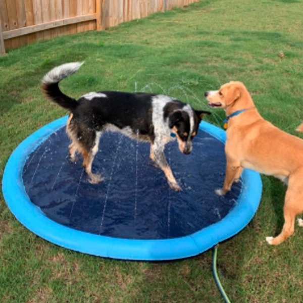 (🎁Fun Memories Gift-49% OFF) 🔥Dog Splash Sprinkler Pad